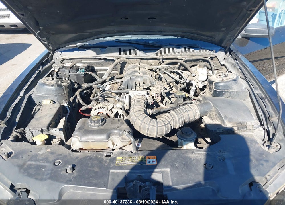 2010 FORD MUSTANG V6/V6 PREMIUM VIN: 1ZVBP8EN3A5142576