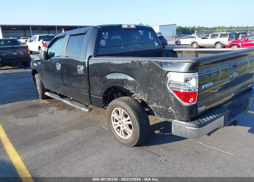 2014 FORD F-150 XLT VIN: 1FTFW1CF9EFC35659