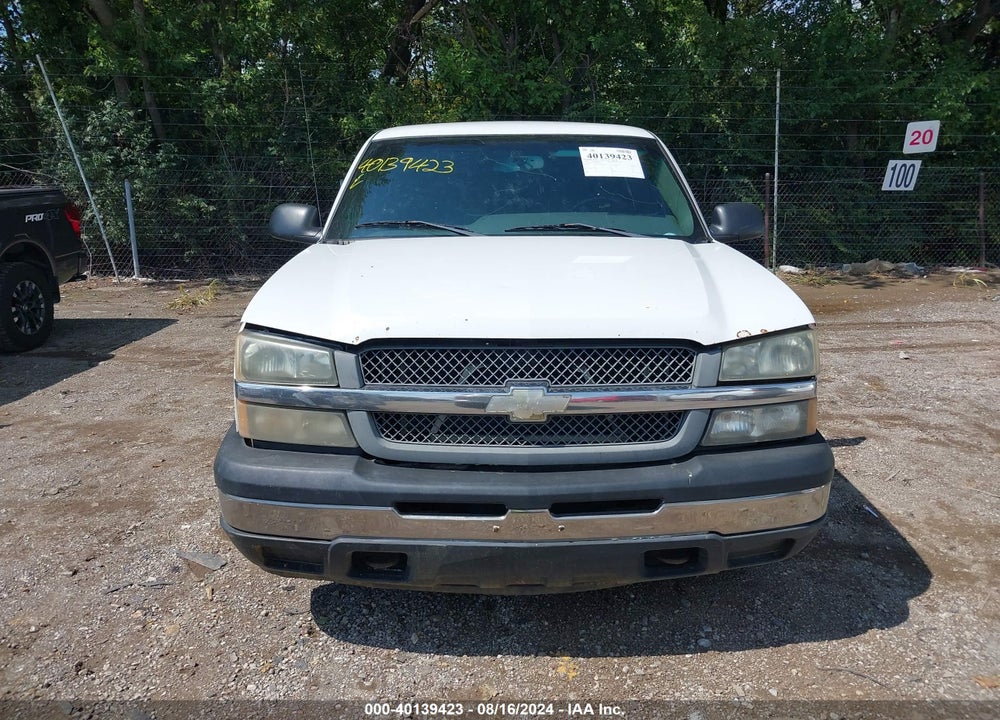 2006 CHEVROLET SILVERADO 1500 WORK TRUCK VIN: 1GCEC14XX6Z147067
