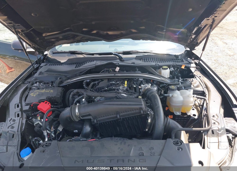 2024 FORD MUSTANG ECOBOOST FASTBACK VIN: 1FA6P8TH8R5101587