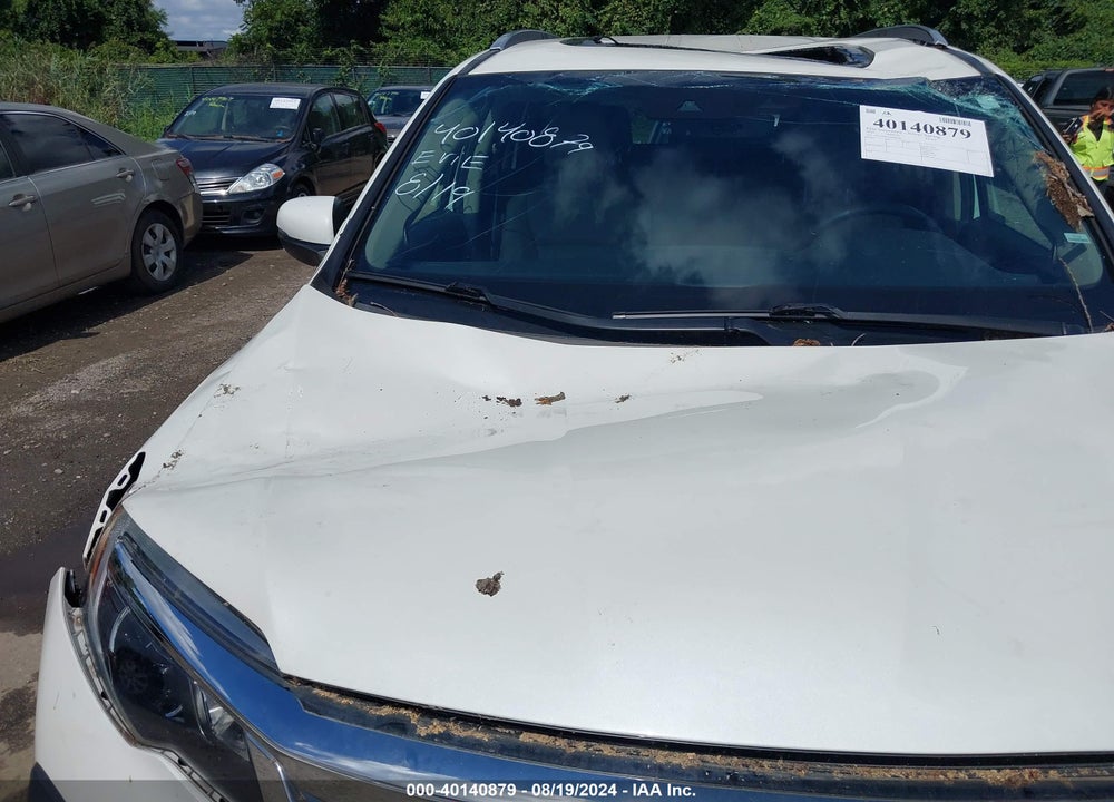 2019 HONDA PILOT EX-L VIN: 5FNYF6H52KB082788