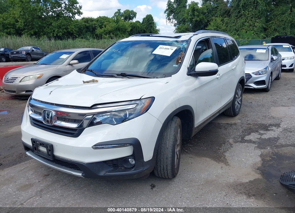 2019 HONDA PILOT EX-L VIN: 5FNYF6H52KB082788