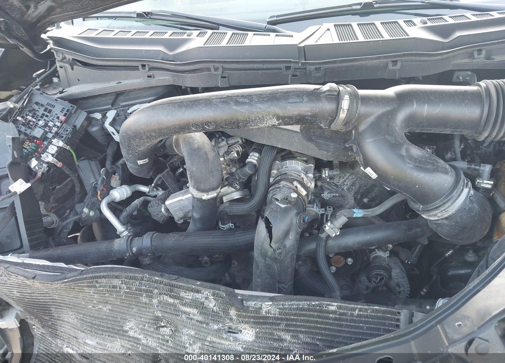 2021 FORD F-150 XLT VIN: 1FTFW1E82MKE08054