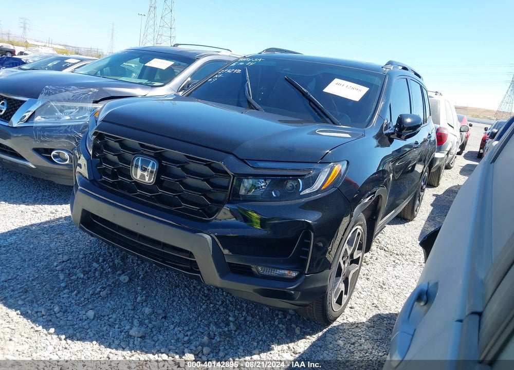2023 HONDA PASSPORT ELITE VIN: 5FNYF8H06PB028238