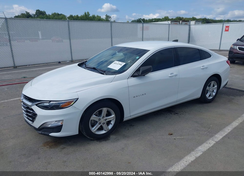 2019 CHEVROLET MALIBU 1LS VIN: 1G1ZB5ST6KF177781