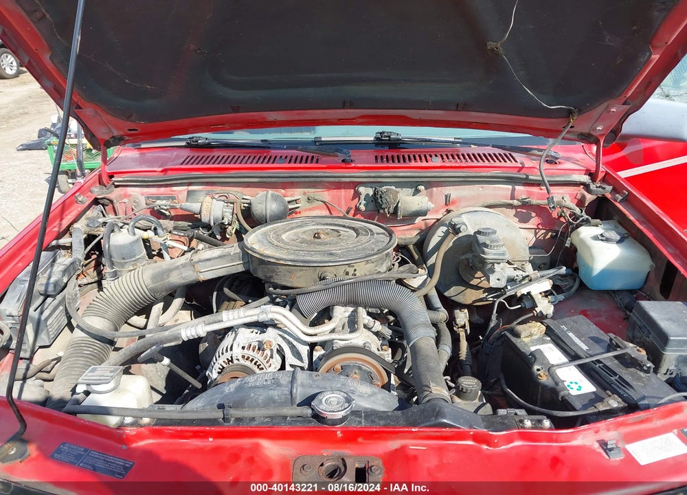1994 DODGE DAKOTA VIN: 1B7GG23Y8RS659081