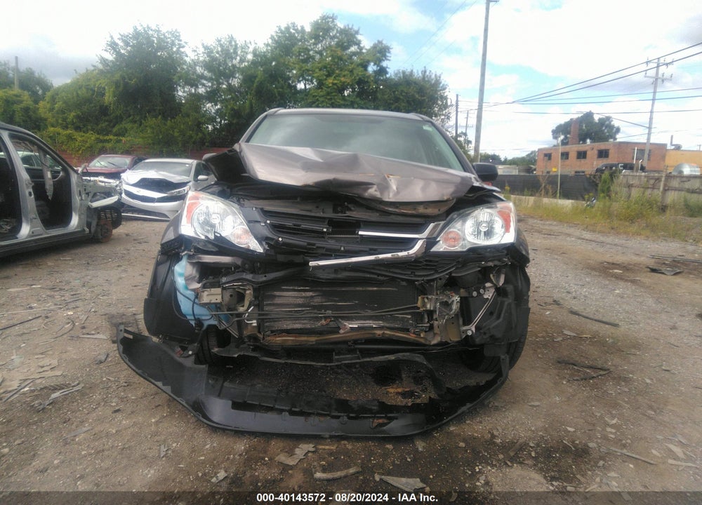 2010 HONDA CR-V LX VIN: 5J6RE4H33AL054563
