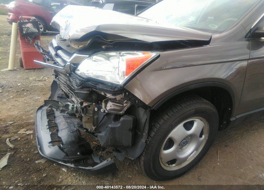2010 HONDA CR-V LX VIN: 5J6RE4H33AL054563