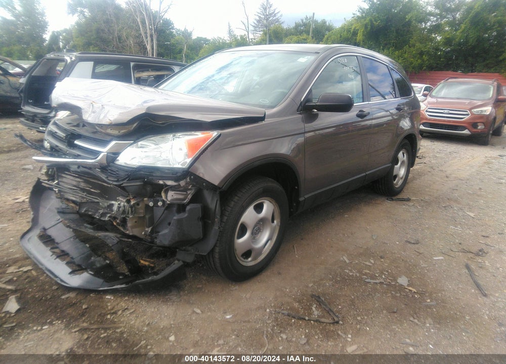2010 HONDA CR-V LX VIN: 5J6RE4H33AL054563