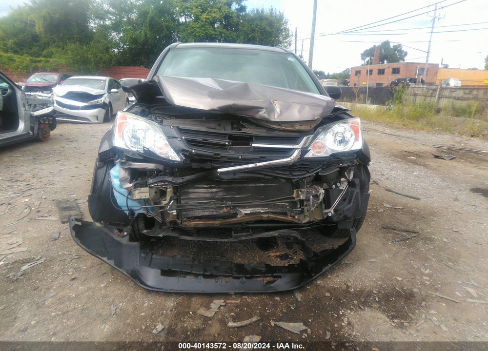 2010 HONDA CR-V LX VIN: 5J6RE4H33AL054563