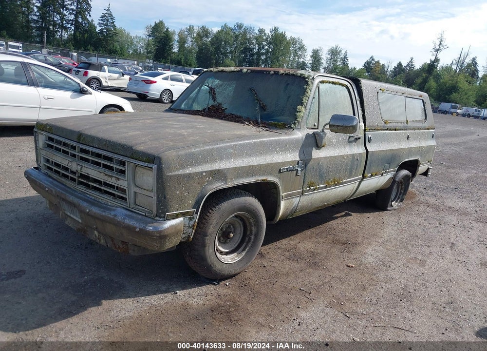 1985 CHEVROLET C10 VIN: 2GCEC14H3F1161555