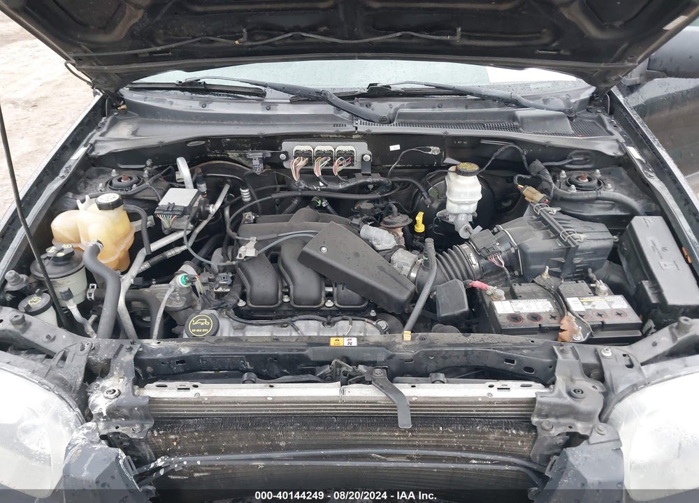 2007 FORD ESCAPE XLT/XLT SPORT VIN: 1FMCU93117KB87317