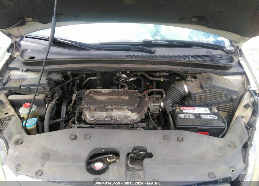 2007 HONDA ODYSSEY EX VIN: 5FNRL384X7B452721