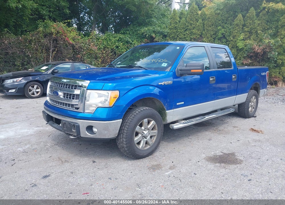 2013 FORD F-150 XLT VIN: 1FTFW1ET6DFA84183