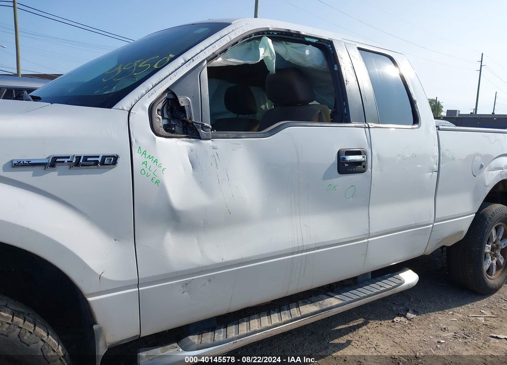 2010 FORD F-150 STX/XL/XLT VIN: 1FTEX1E89AFC19950