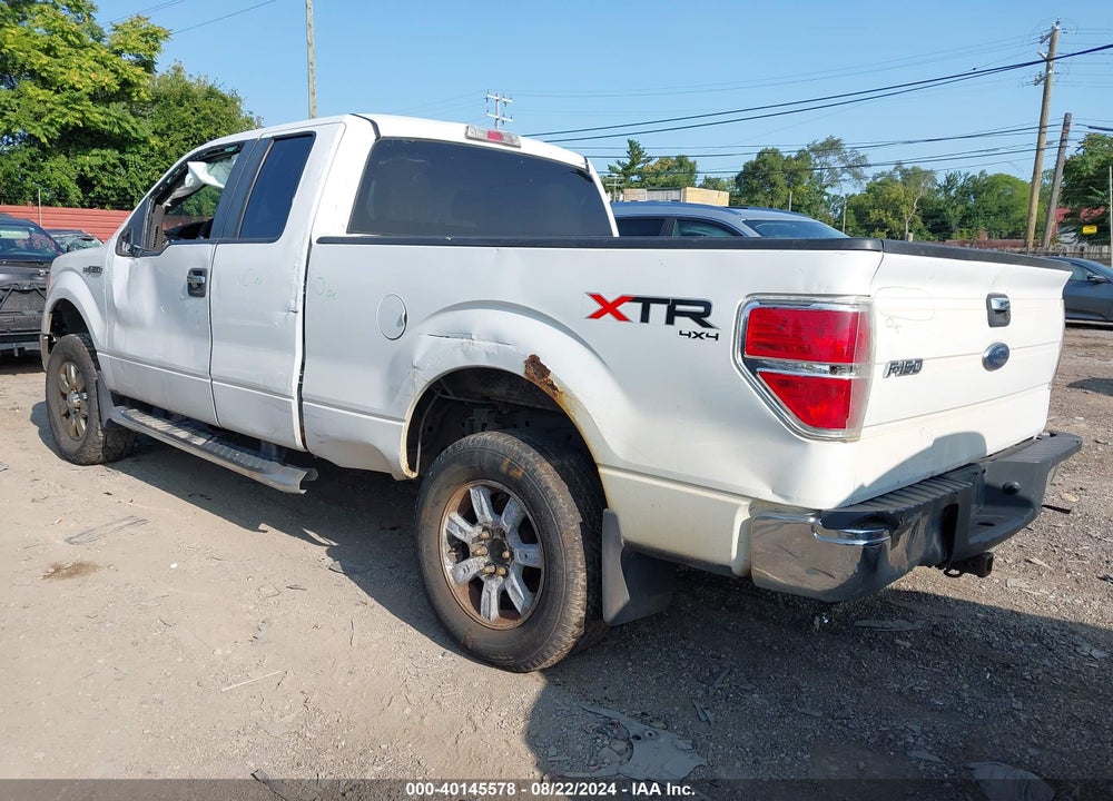 2010 FORD F-150 STX/XL/XLT VIN: 1FTEX1E89AFC19950