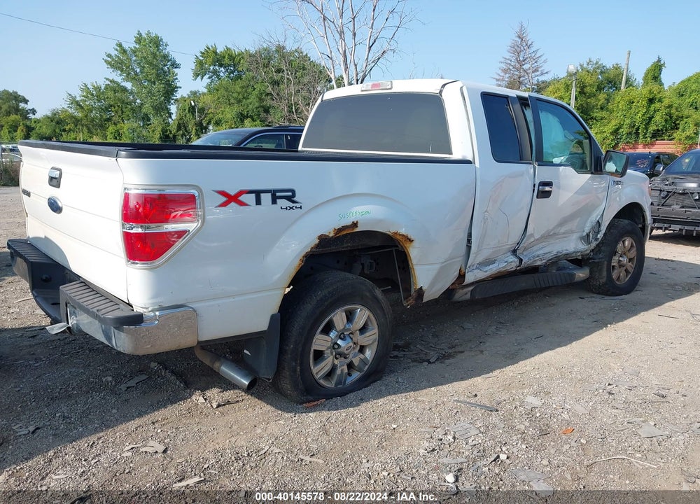 2010 FORD F-150 STX/XL/XLT VIN: 1FTEX1E89AFC19950