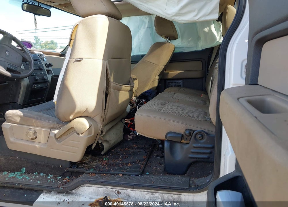 2010 FORD F-150 STX/XL/XLT VIN: 1FTEX1E89AFC19950