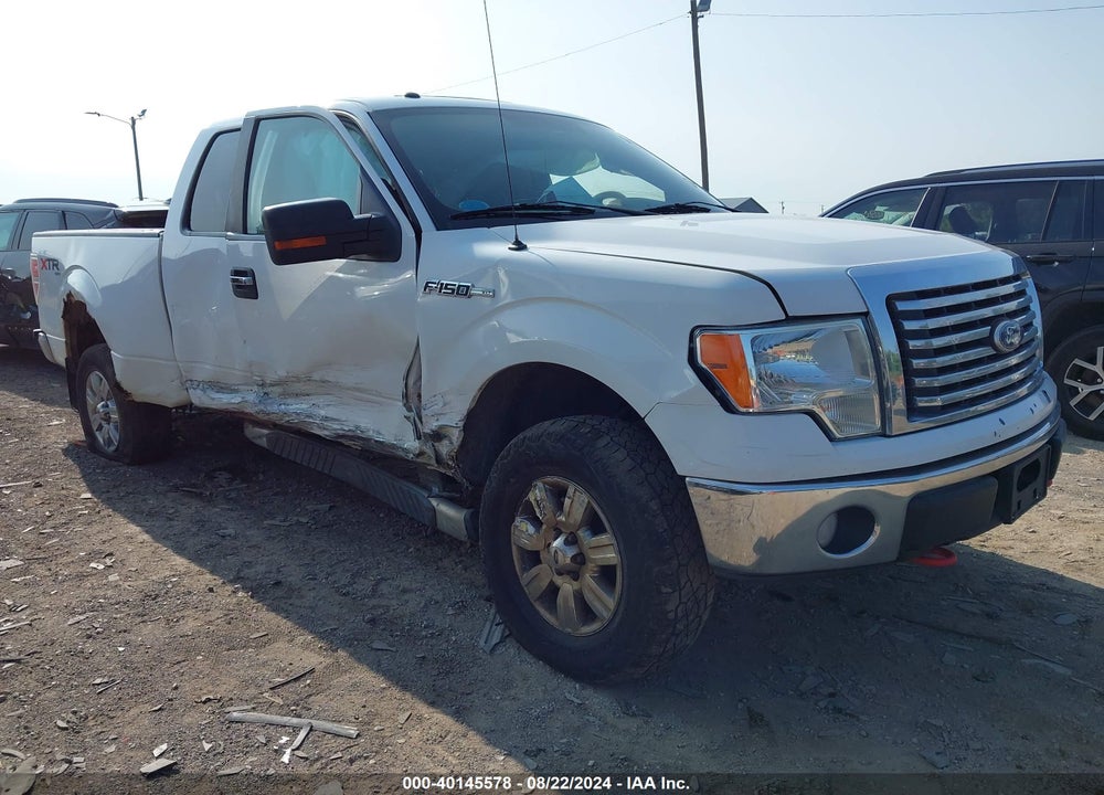 2010 FORD F-150 STX/XL/XLT VIN: 1FTEX1E89AFC19950