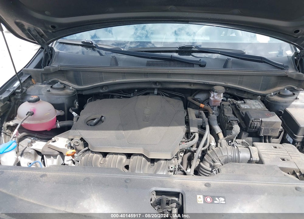 2023 KIA SPORTAGE X LINE VIN: 5XYK6CAF5PG021149