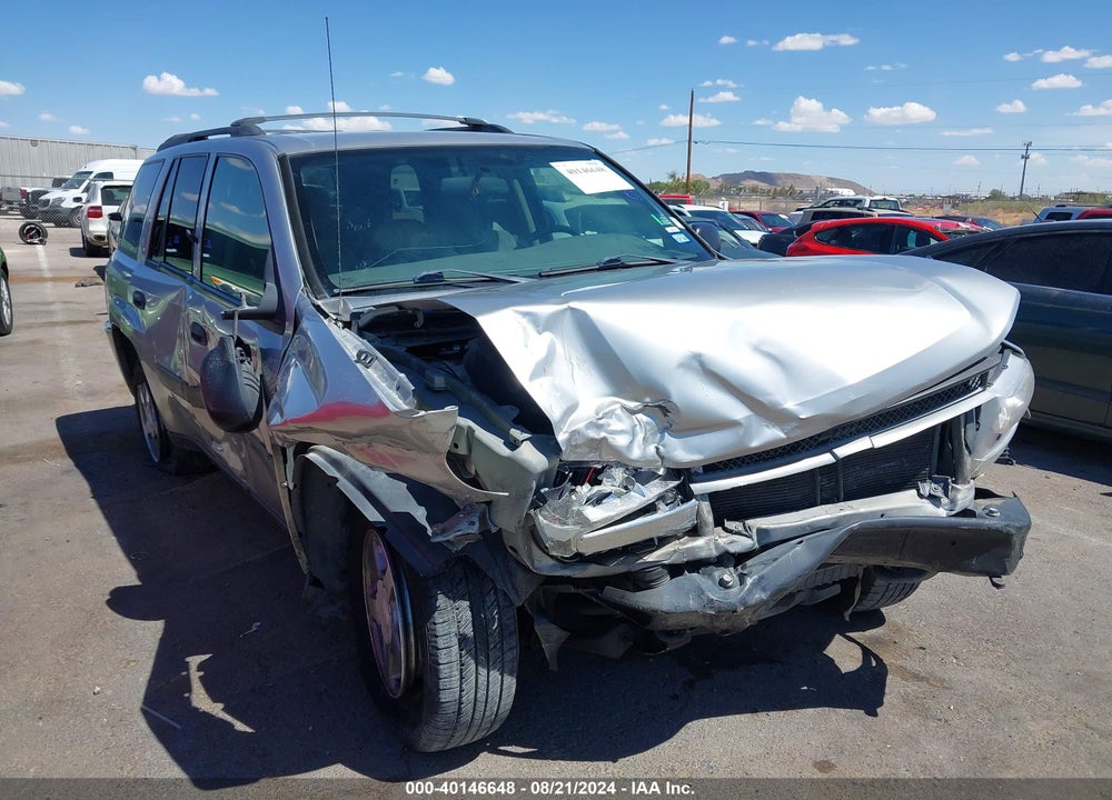 2004 CHEVROLET TRAILBLAZER VIN: 1GNDT13S542406546