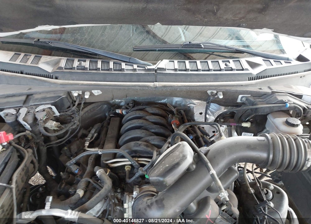 2020 FORD F-150 XLT VIN: 1FTEW1E52LKE35500
