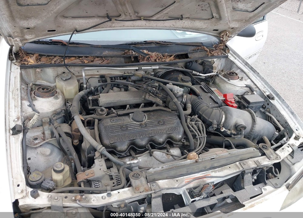 1997 FORD ESCORT LX VIN: 1FALP13P2VW282496