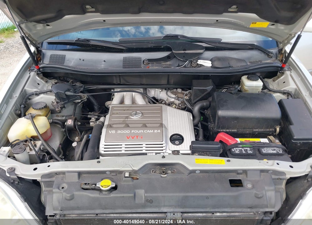 2002 LEXUS RX 300 VIN: JTJGF10U020134531