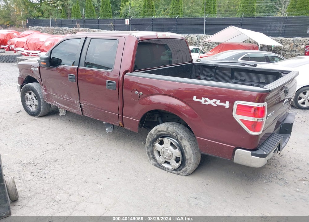 2010 FORD F-150 FX4/HARLEY-DAVIDSON/KING RANCH/LARIAT/PLATINUM/XL/XLT VIN: 1FTFW1EV6AFC67533