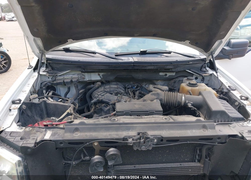2011 FORD F-150 XL VIN: 1FTMF1CM5BKD34620