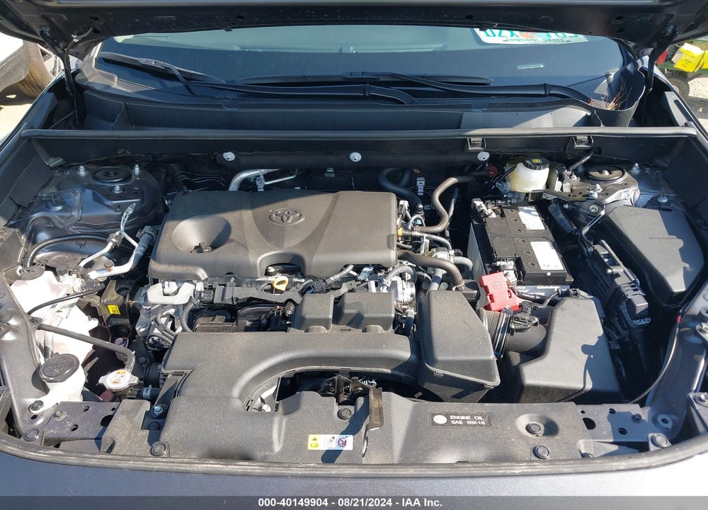 2024 TOYOTA RAV4 XLE VIN: 2T3W1RFV1RW323304