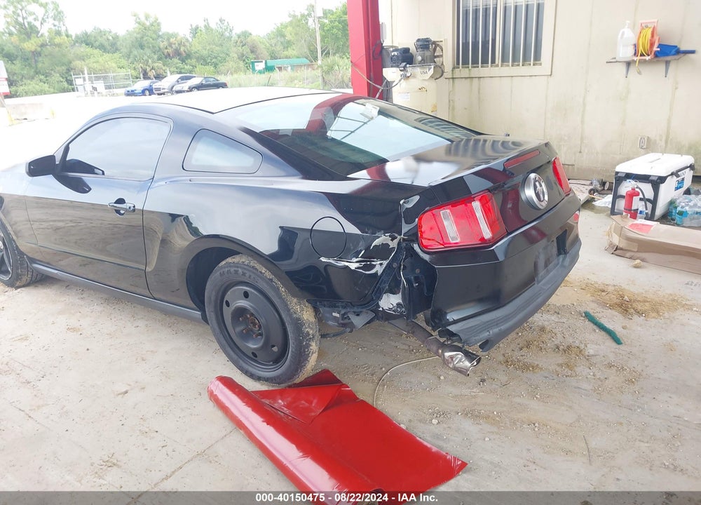 2011 FORD MUSTANG V6 VIN: 1ZVBP8AM3B5156282