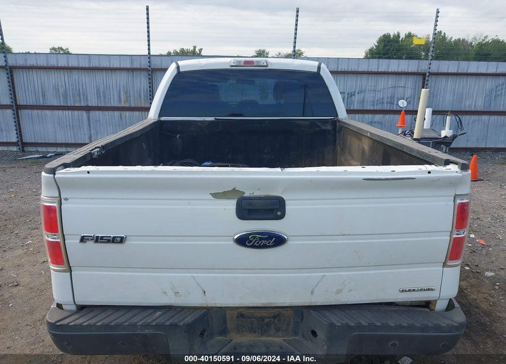 2013 FORD F-150 XL VIN: 1FTFX1EF5DKE89482