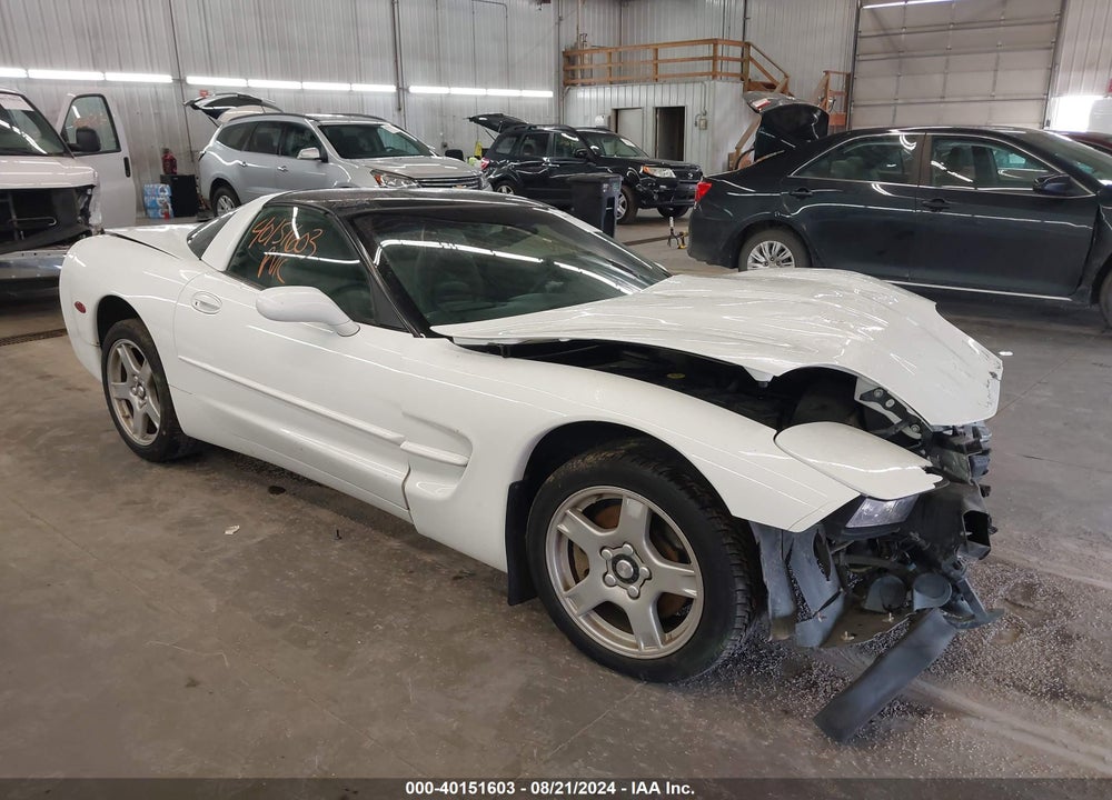 1997 CHEVROLET CORVETTE VIN: 1G1YY22G3V5103319