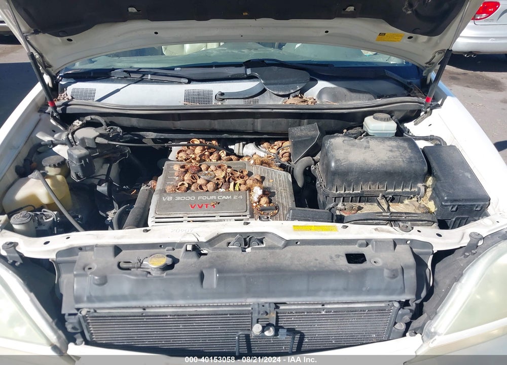 2003 LEXUS RX 300 VIN: JTJHF10U230293248