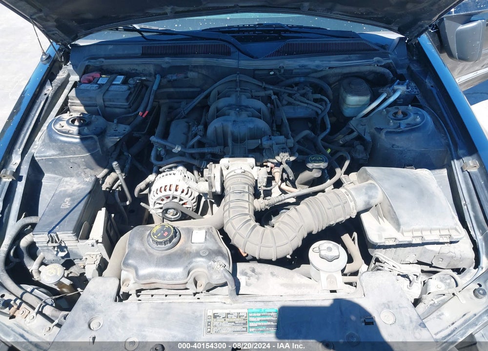 2006 FORD MUSTANG VIN: 1ZVHT80N465118534