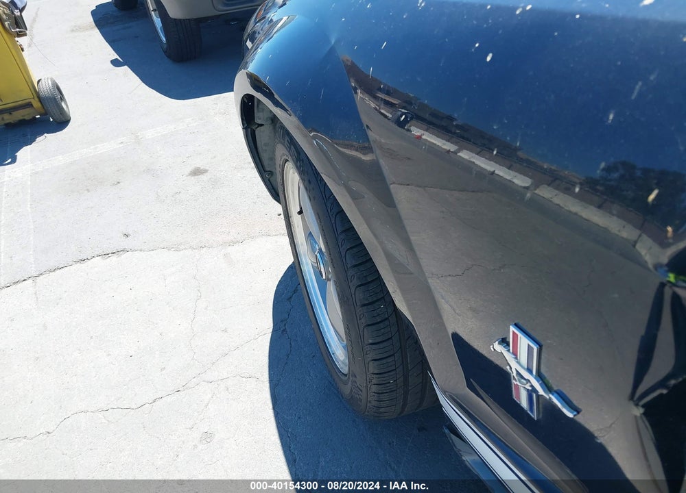 2006 FORD MUSTANG VIN: 1ZVHT80N465118534