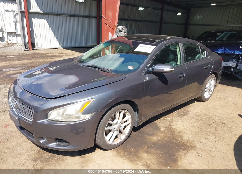 2010 NISSAN MAXIMA 3.5 SV VIN: 1N4AA5AP3AC801246