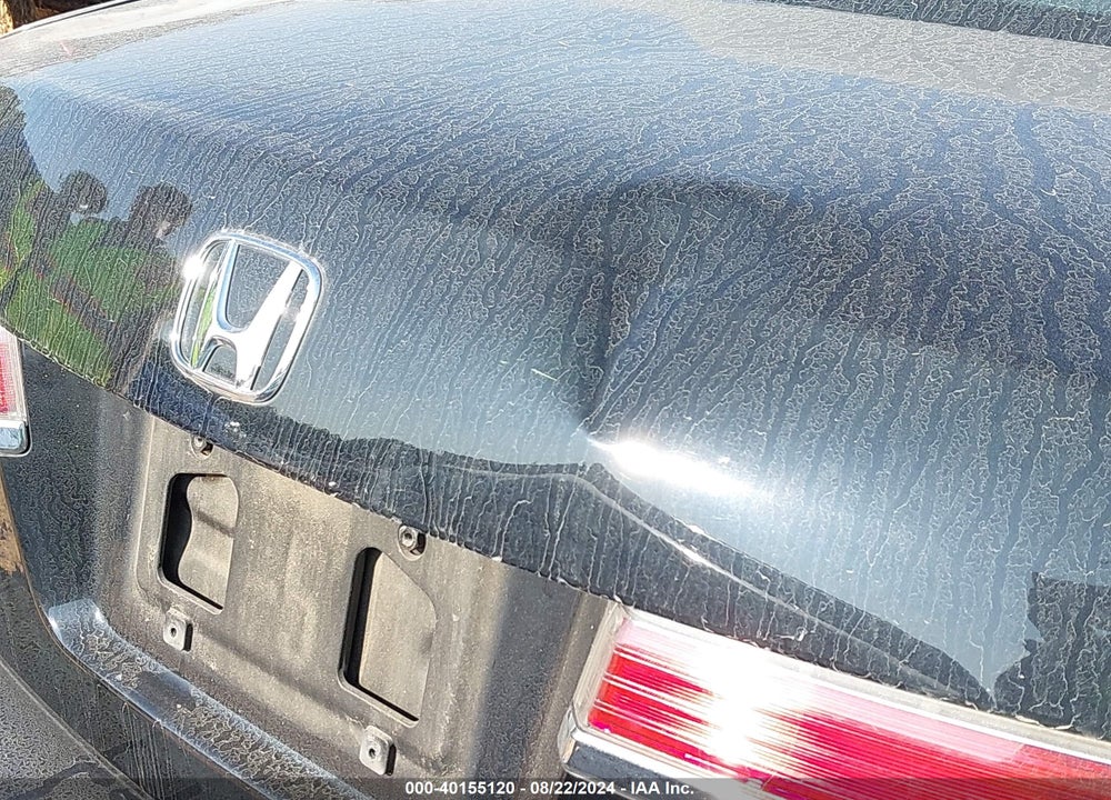 2012 HONDA ACCORD VIN: 1HGCP2F81CA202640