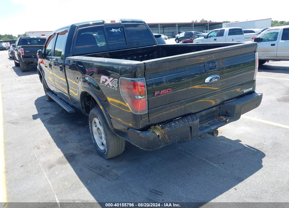 2013 FORD F-150 FX4 VIN: 1FTFW1ET5DFC96167