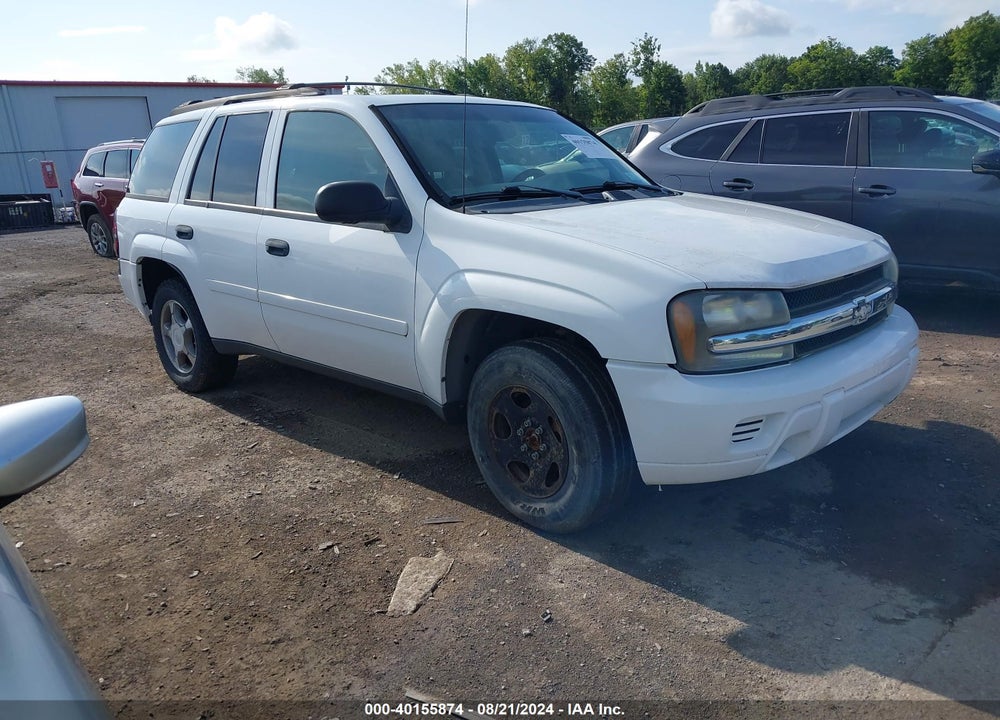 2008 CHEVROLET TRAILBLAZER FLEET VIN: 1GNDT13S682129881