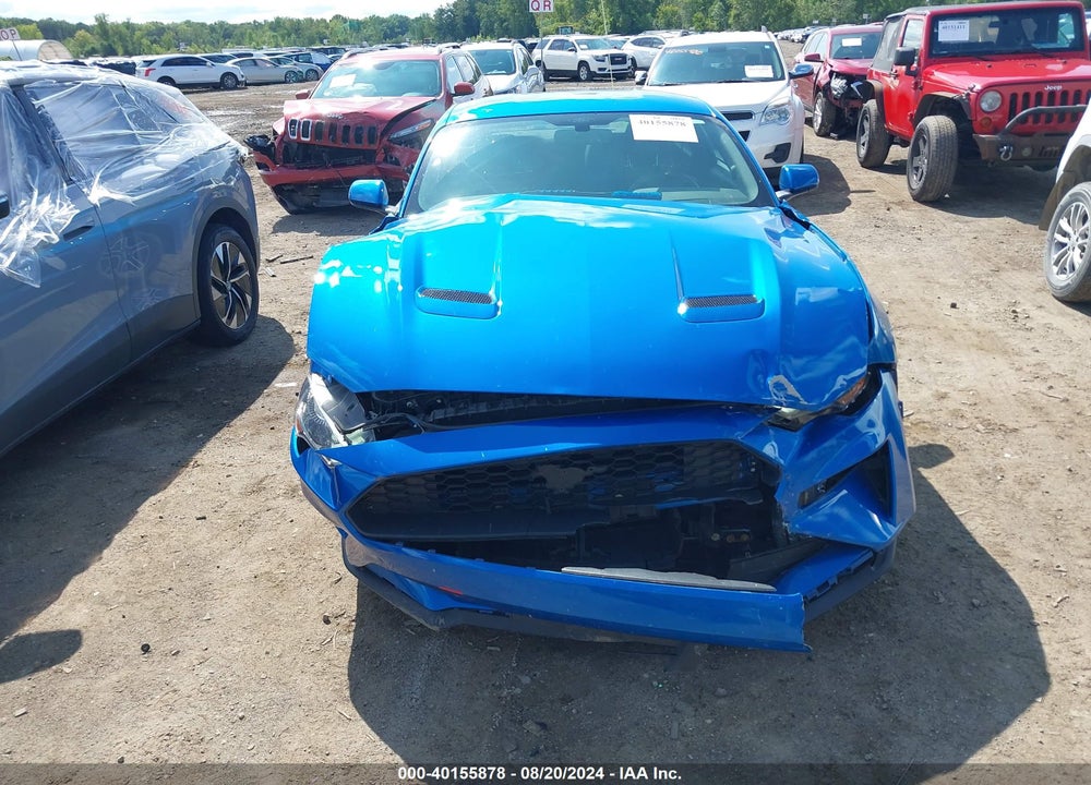 2020 FORD MUSTANG ECOBOOST FASTBACK VIN: 1FA6P8TH7L5118081