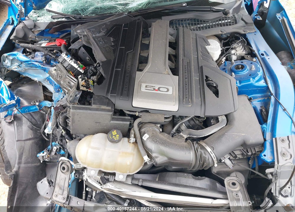 2019 FORD MUSTANG GT VIN: 1FA6P8CF9K5203761