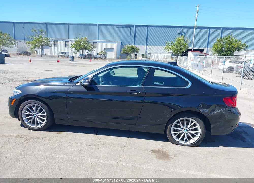 2015 BMW 228I VIN: WBA1F9C59FV544052
