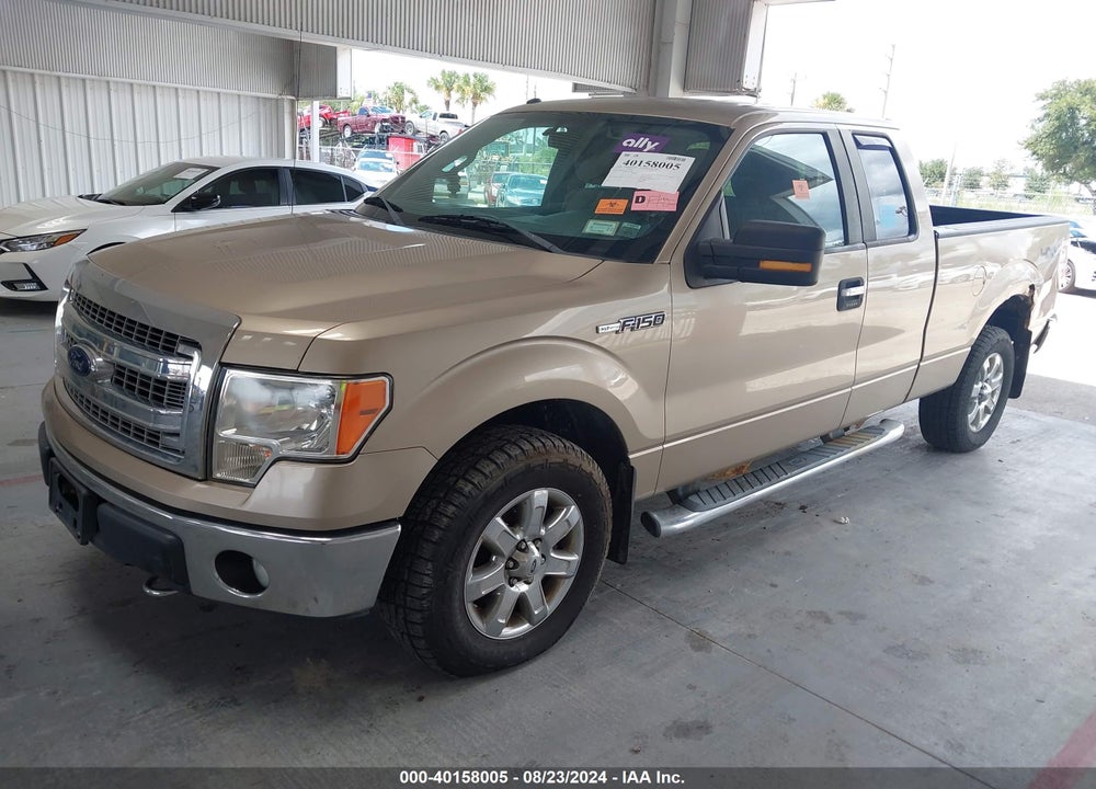 2013 FORD F-150 XLT VIN: 1FTFX1EF8DFA23828