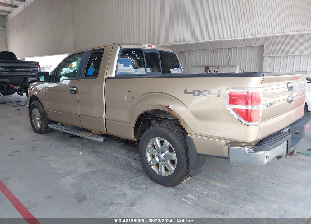 2013 FORD F-150 XLT VIN: 1FTFX1EF8DFA23828