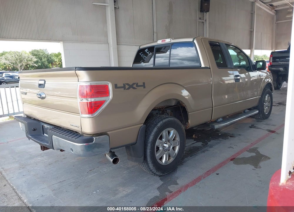 2013 FORD F-150 XLT VIN: 1FTFX1EF8DFA23828