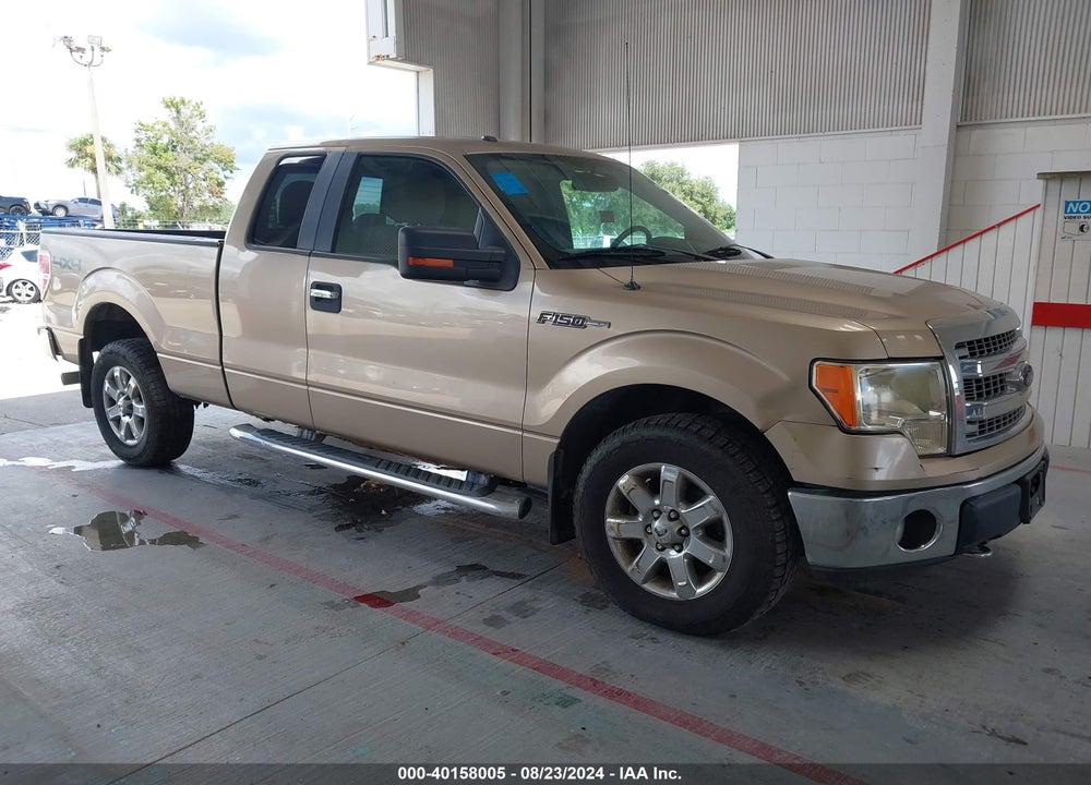 2013 FORD F-150 XLT VIN: 1FTFX1EF8DFA23828