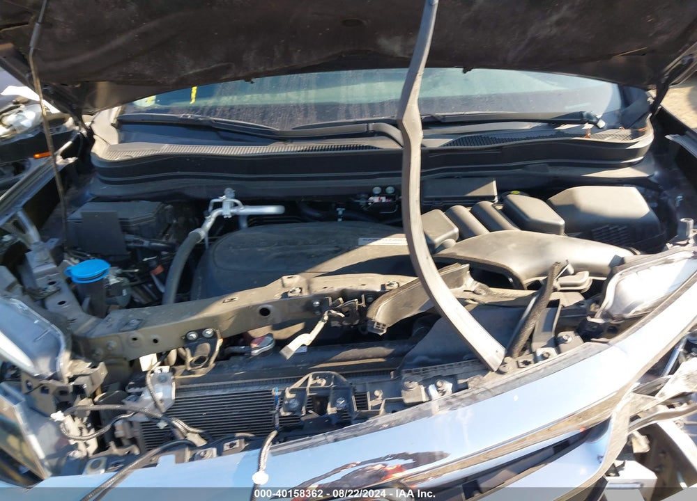 2019 HONDA PILOT EX-L VIN: 5FNYF6H57KB041024