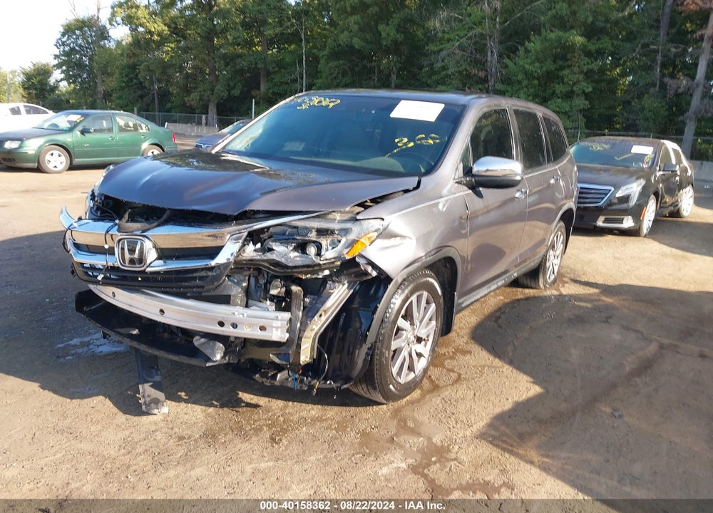 2019 HONDA PILOT EX-L VIN: 5FNYF6H57KB041024